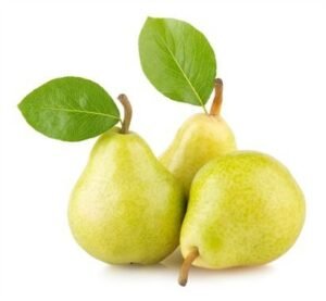 Pear Green (Nashpati)