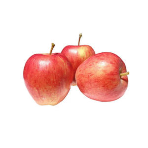 Royal Gala Apple