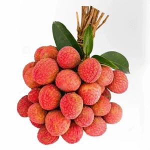 Litchi