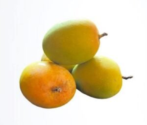 Mango Alphonso