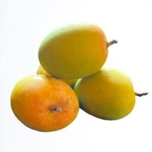 Mango Alphonso